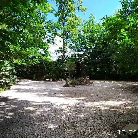 Dom Na Lesnym Zaciszu 2 * Dziwiszow