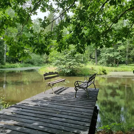 Dom Na Lesnym Zaciszu 2