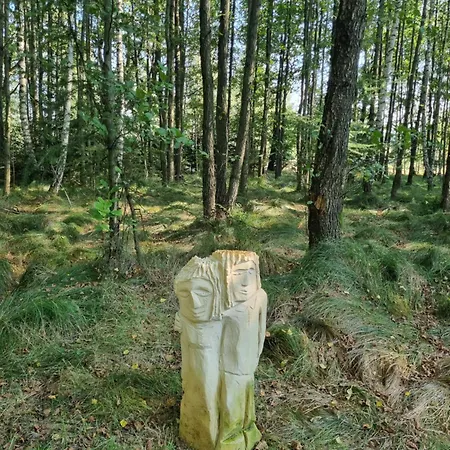 Дом отдыха Dom Na Lesnym Zaciszu 2 Dziwiszow