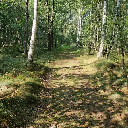 Dom Na Lesnym Zaciszu 2