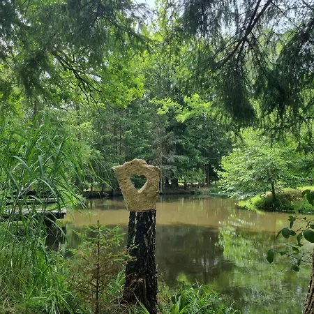 Dom Na Lesnym Zaciszu 2 Дом отдыха Dziwiszow