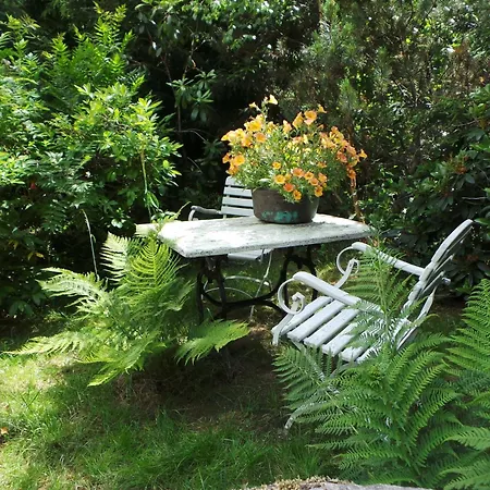 Дом отдыха Dom Na Lesnym Zaciszu 2