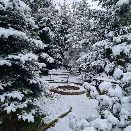 Dom Na Lesnym Zaciszu 2 * Dziwiszow