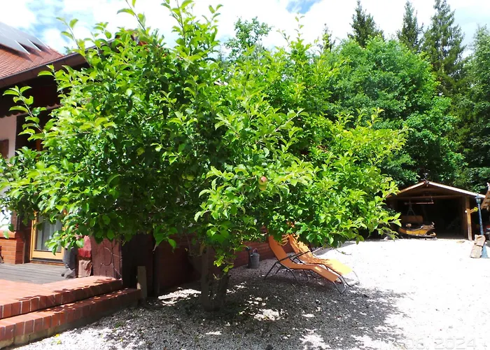 Дом отдыха Dom Na Lesnym Zaciszu 2