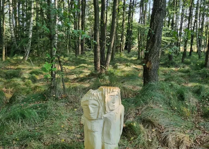 Дом отдыха Dom Na Lesnym Zaciszu 2 Dziwiszow