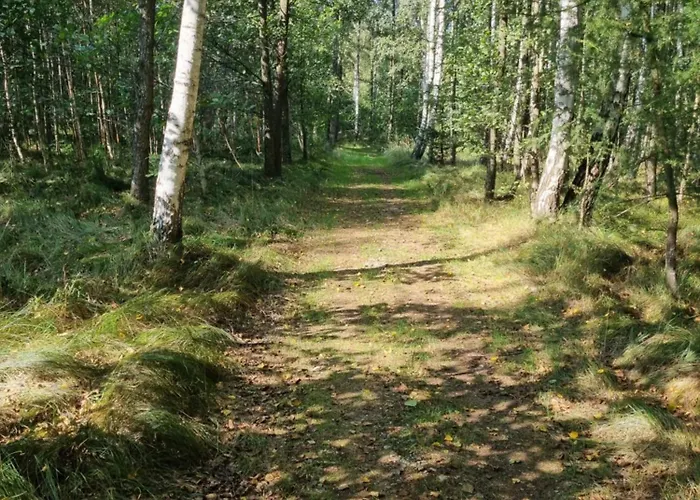 Dom Na Lesnym Zaciszu 2