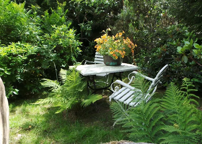 Дом отдыха Dom Na Lesnym Zaciszu 2